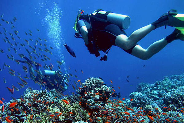 scuba diving în Ammoudara Creta Grecia